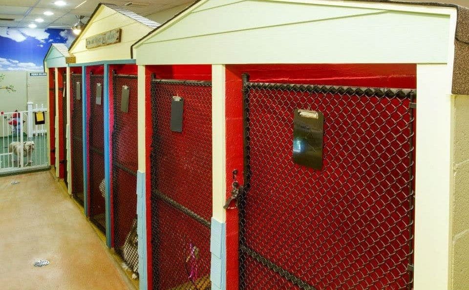 Sunset Animal Hospital Pet Junction